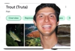 Trout identification